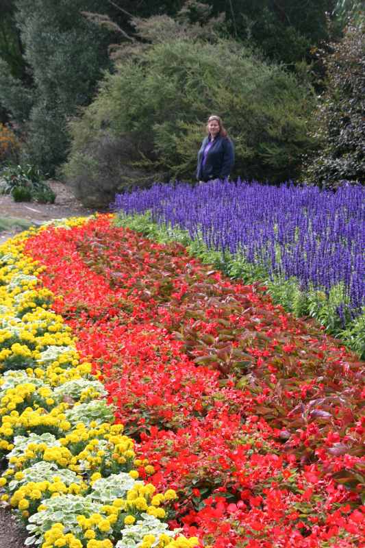 Nieuw-Zeeland 2011 - 2151